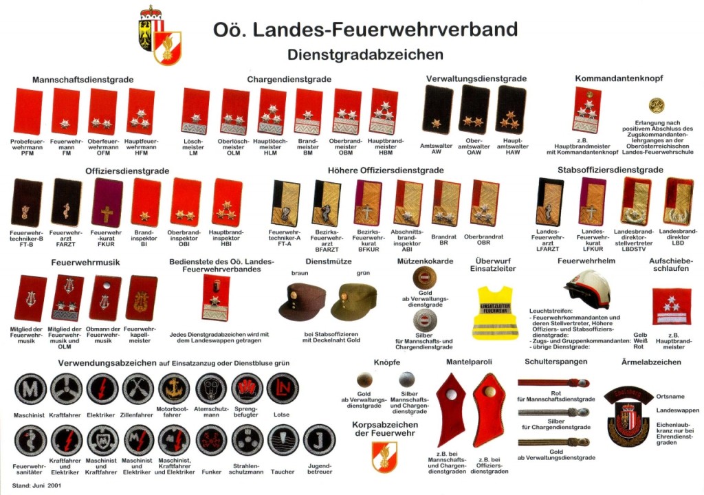 Feuerwehr-Dienstgradabzeichen