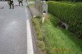 DSC004