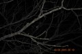 DSC_0045 DSC_0045