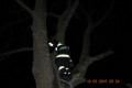 DSC_0047 DSC_0047