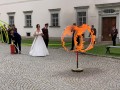 IMG_4006 IMG_4006